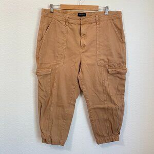 Banana Republic Brown Utility Cargo Denim Joggers